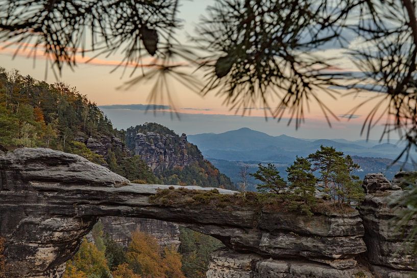 Naturgerahmt – Das Prebischtor zwischen Kiefern und Abendlicht von Fototante