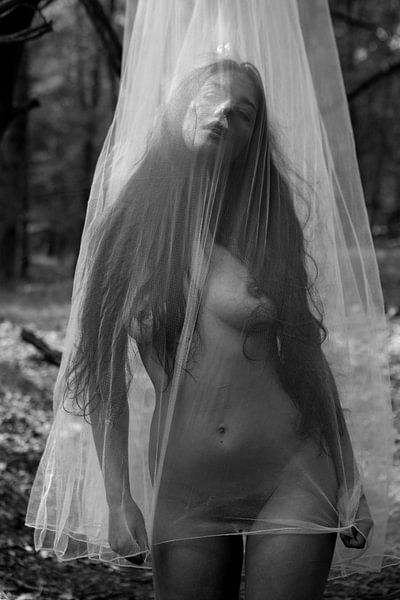 Artistiek naakt gevangen par Arjan Groot