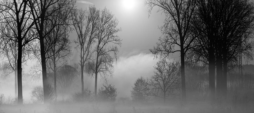 Incoming fog on a frosty sunny morning on the Dender by Marcel Derweduwen