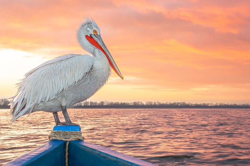 Hier bin ich richtig ;-) von Kris Hermans