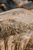 Winterliche Strandspaziergänge #4