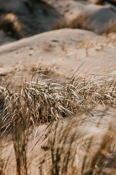 Winterliche Strandspaziergänge #4 von Elise van Gils