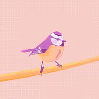 Blaumeise, Vogelillustration