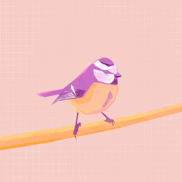 Blaumeise, Vogelillustration von Femke Bender