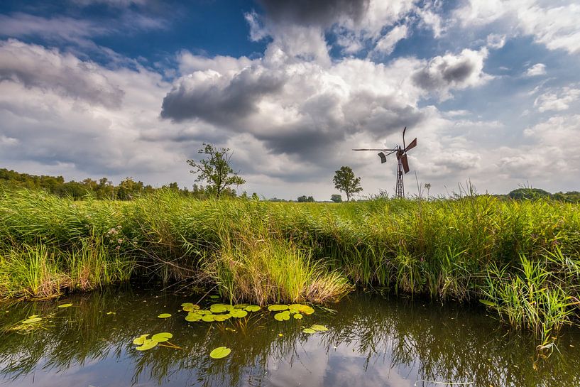 Laagveenmoeras de Weerribben par Jenco van Zalk