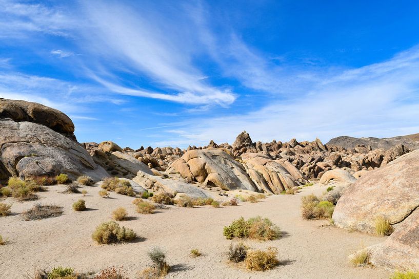 Alabama Hills von Robert Styppa