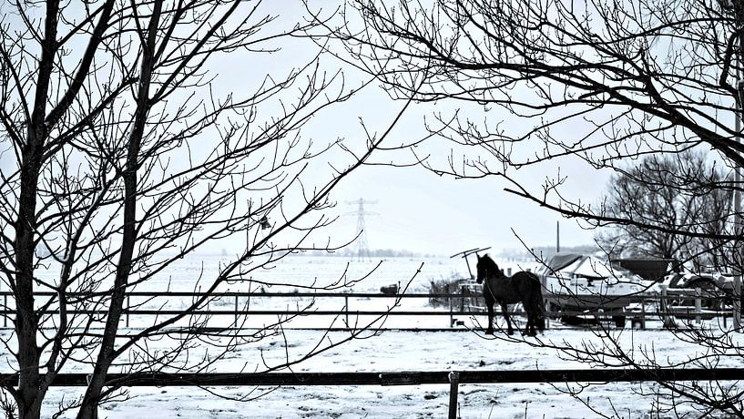 White world by Michel Derksen