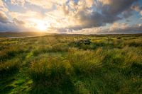 The Isle, where always the wind blows