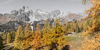Berglandschaft "Almhütte in den Alpen".