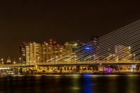 Salutations de Rotterdam