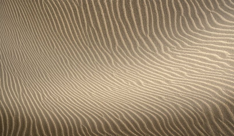 1989 Sculpture de vent par Adrien Hendrickx