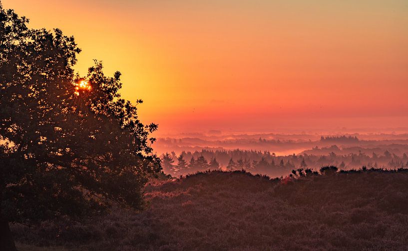 Sonnenaufgang von John de Vent
