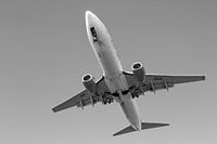 Final approach Transavia Boeing 737 Rotterdam The Hague Airport