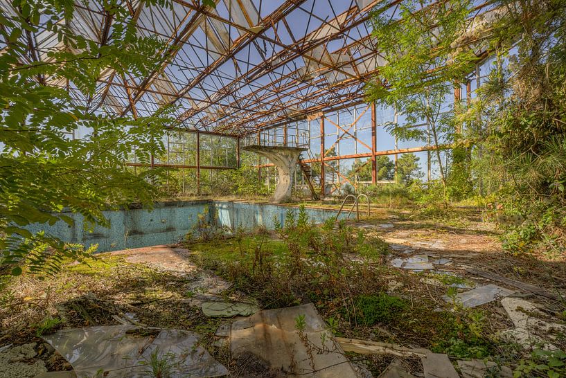 Der Dschungel-Pool von Wesley Van Vijfeijken