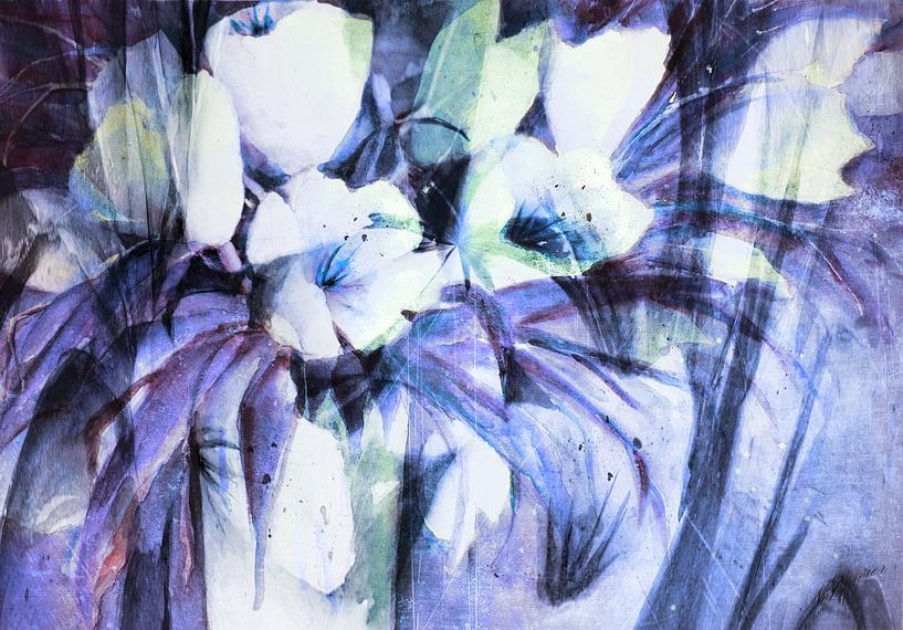 white Tulips - abstract by Christine Nöhmeier