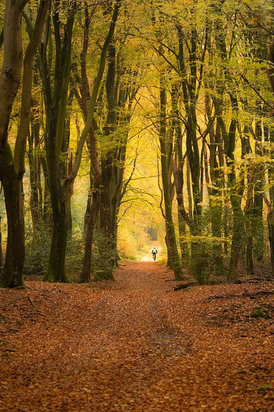 Cycliste sur Landgoed Marienwaerdt par Moetwil en van Dijk - Fotografie