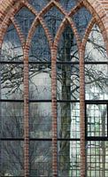 de boom in de kerk van Bleiswijk!