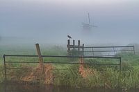 Alphen aan den Rijn - Molenviergang Aarlanderveen - Barge à queue noire sur une clôture