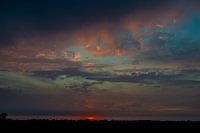 Sonnenuntergang beim Unkrautjäten