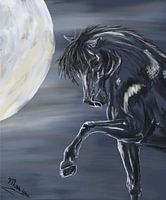 Paard en maan