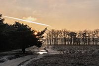 Winterlandschaft mit Sonnenaufgang Bussumerheide