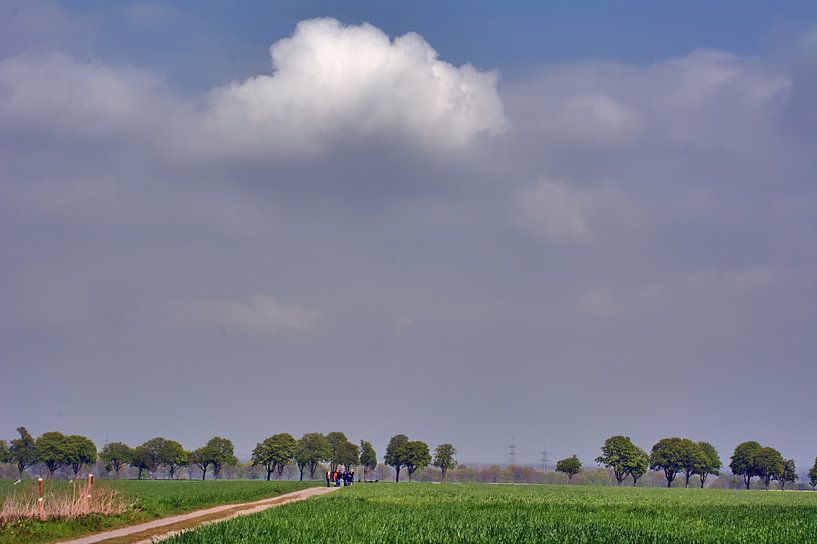 Marche Goldberg par Edgar Schermaul