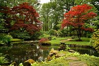 Japanischer Garten Clingendael Den Haag