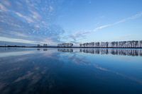 Bisonbucht, Ooijpolder