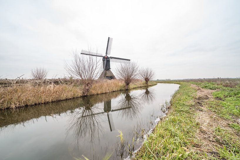 Zandwijkse Widmolen in Uppel by Marcel Derweduwen