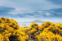 Unauffällig gefärbtes Boot