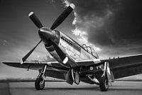 mustang p51