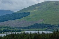 Aussichtspunkt Loch Tulla