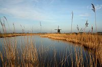 Hollands landschap