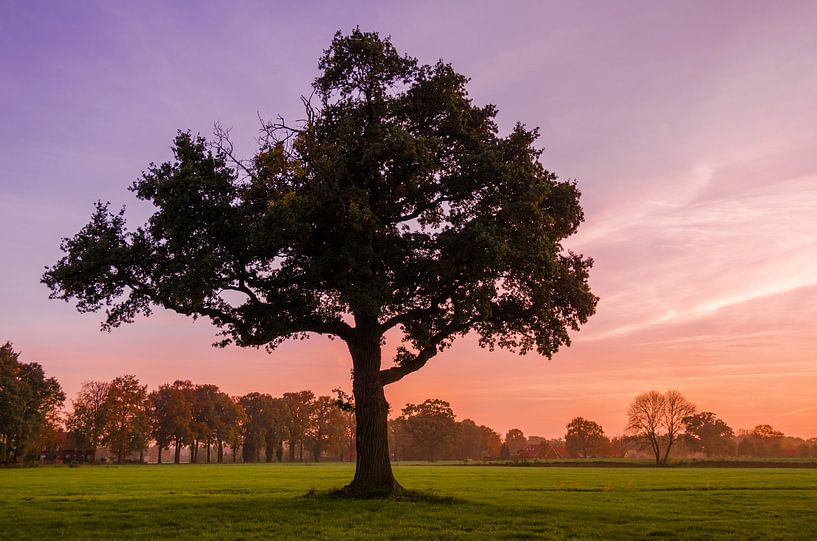 Der Winter kommt von Stephan Smit