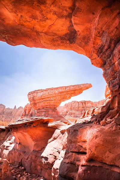 Carsland Disney California Adventure par Kaylee Verschure