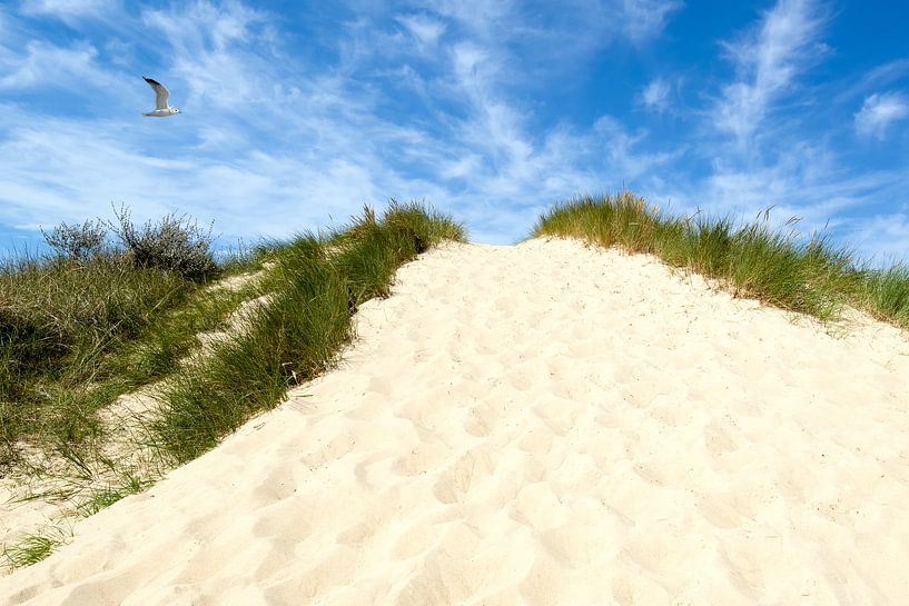 Rügen par Reiner Würz / RWFotoArt