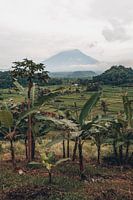 Vues du paradis : Rizières et Mont Agung dans l'enchanteresse Bali