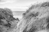 Passage de plage au Danemark en noir et blanc