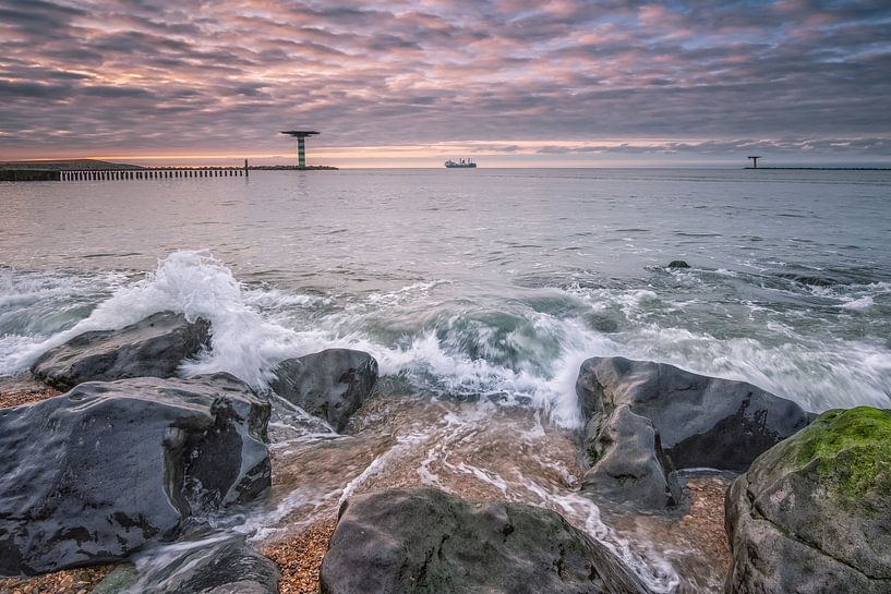 Sicheren Hafen verlassen von Sander Poppe