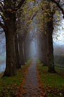 Der Weg zum Herbst
