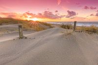 Zonsondergang in de duinen van Den Haag