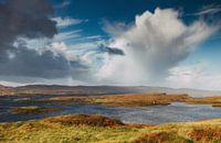 Peaceful, deserted places in Scotland. Peat bogs, acid grasses, flooded wetlands with little vegetation.