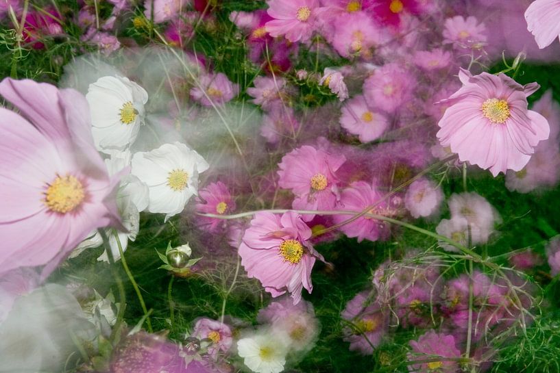 waving flowers by Umana Erikson