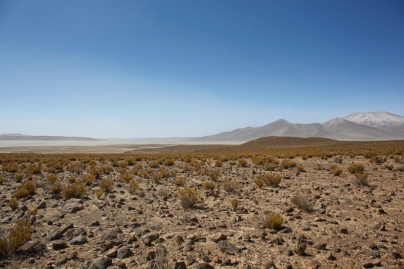 Farallon de Tara, the plateau overlooking the salt lake, the nature reserve Salar de Tara, San Pedro by Tjeerd Kruse