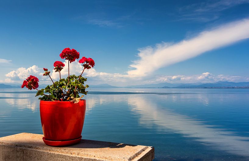 Sommer am Shkoder-See, Albanien von Adelheid Smitt