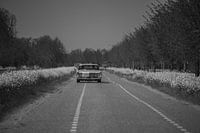 Village néerlandais 2020, voiture sur la route.