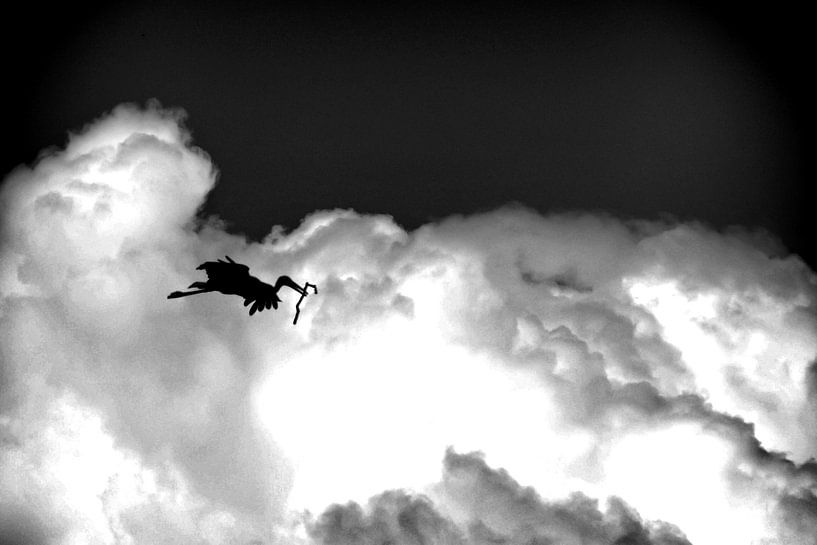 Storch - dans les nuages - in the clouds par Reiner Borner