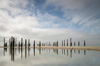 L'homme et la nature