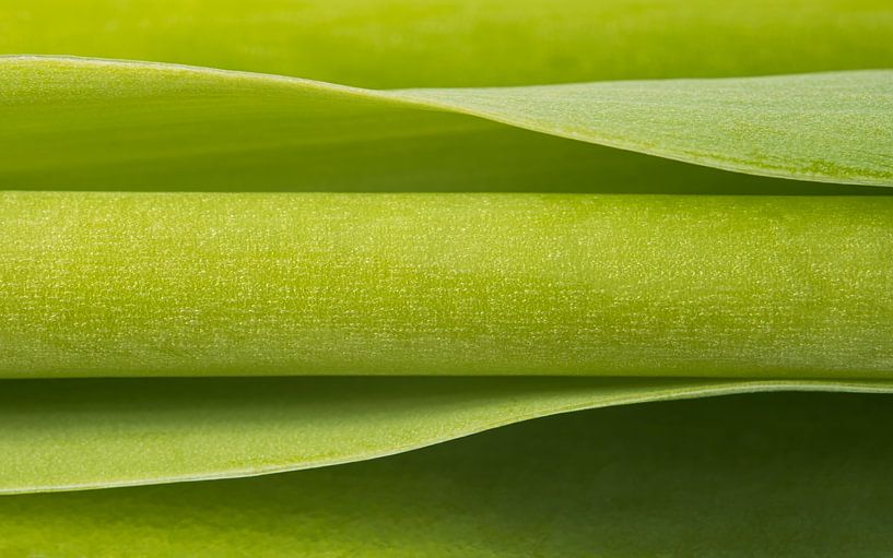 Abstract photography: green by Marjolijn van den Berg