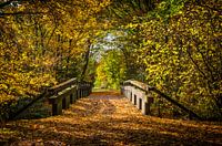 Bemalen einer Brücke im Herbst